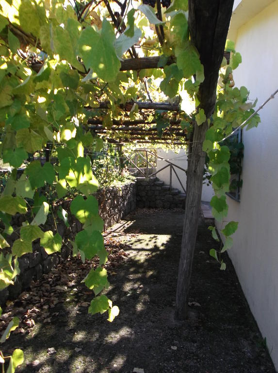 Agriturismo Collevento Trecchina Εξωτερικό φωτογραφία