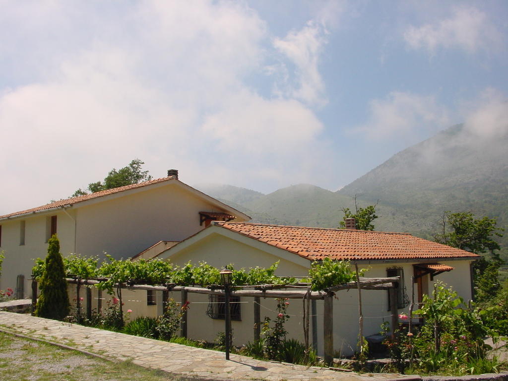 Agriturismo Collevento Trecchina Εξωτερικό φωτογραφία