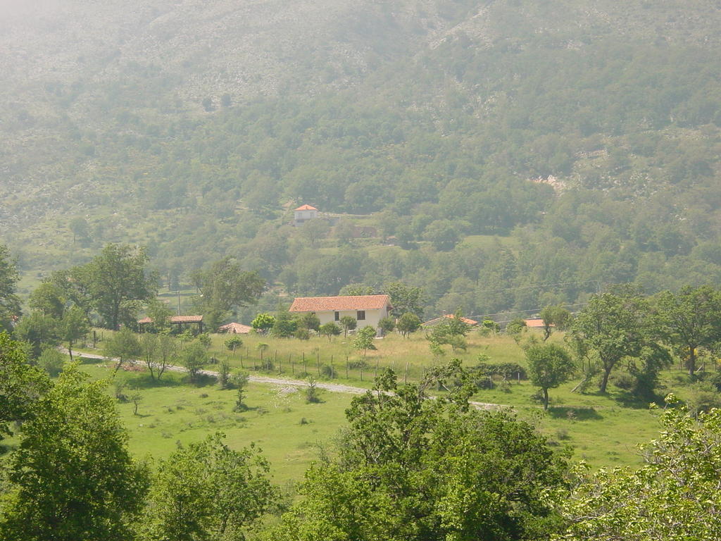Agriturismo Collevento Trecchina Εξωτερικό φωτογραφία