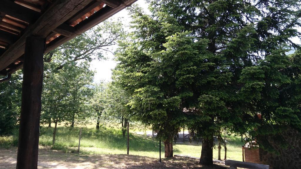 Agriturismo Collevento Trecchina Εξωτερικό φωτογραφία