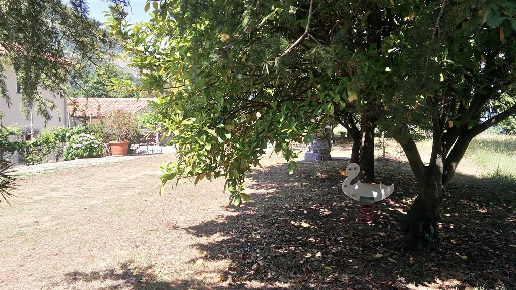 Agriturismo Collevento Trecchina Εξωτερικό φωτογραφία
