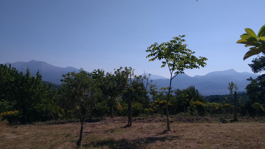 Agriturismo Collevento Trecchina Εξωτερικό φωτογραφία